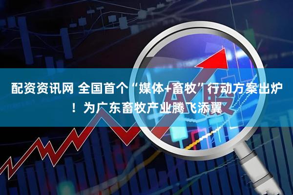 配资资讯网 全国首个“媒体+畜牧”行动方案出炉！为广东畜牧产业腾飞添翼
